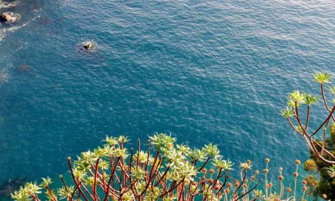 Insenatura vicino a Tellaro