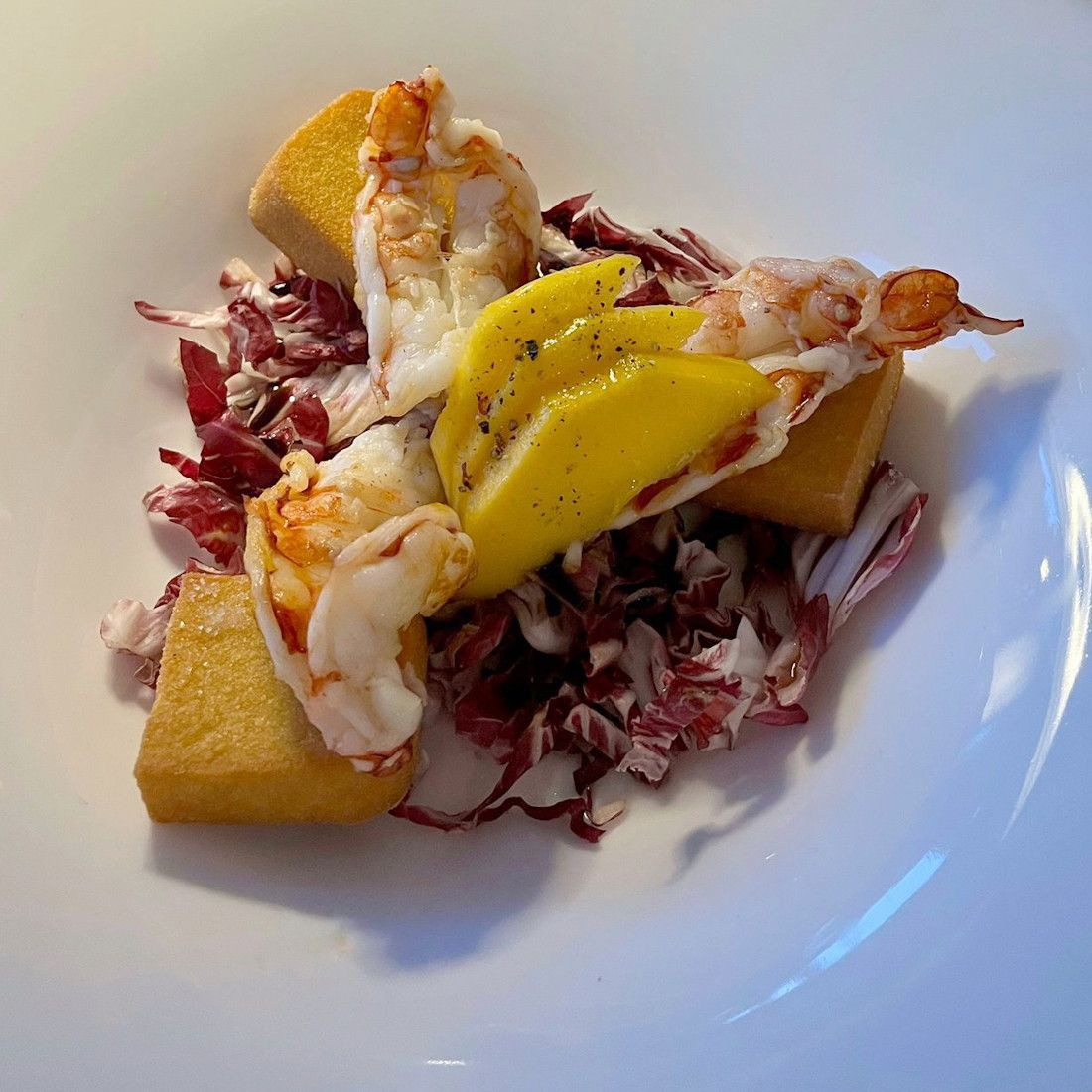 insalata di panissa, gamberi, mango e radicchio rosso